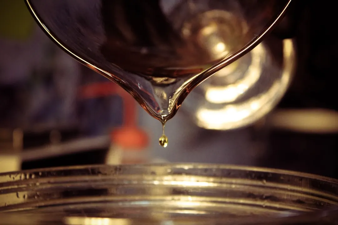 Press Your Own Olive Oil